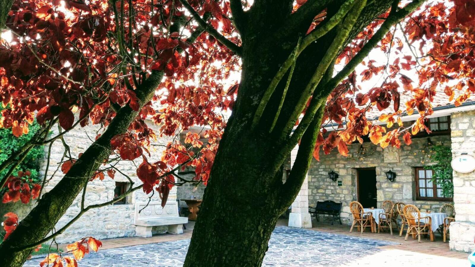 Posada Paz Hinojedo Zewnętrze zdjęcie